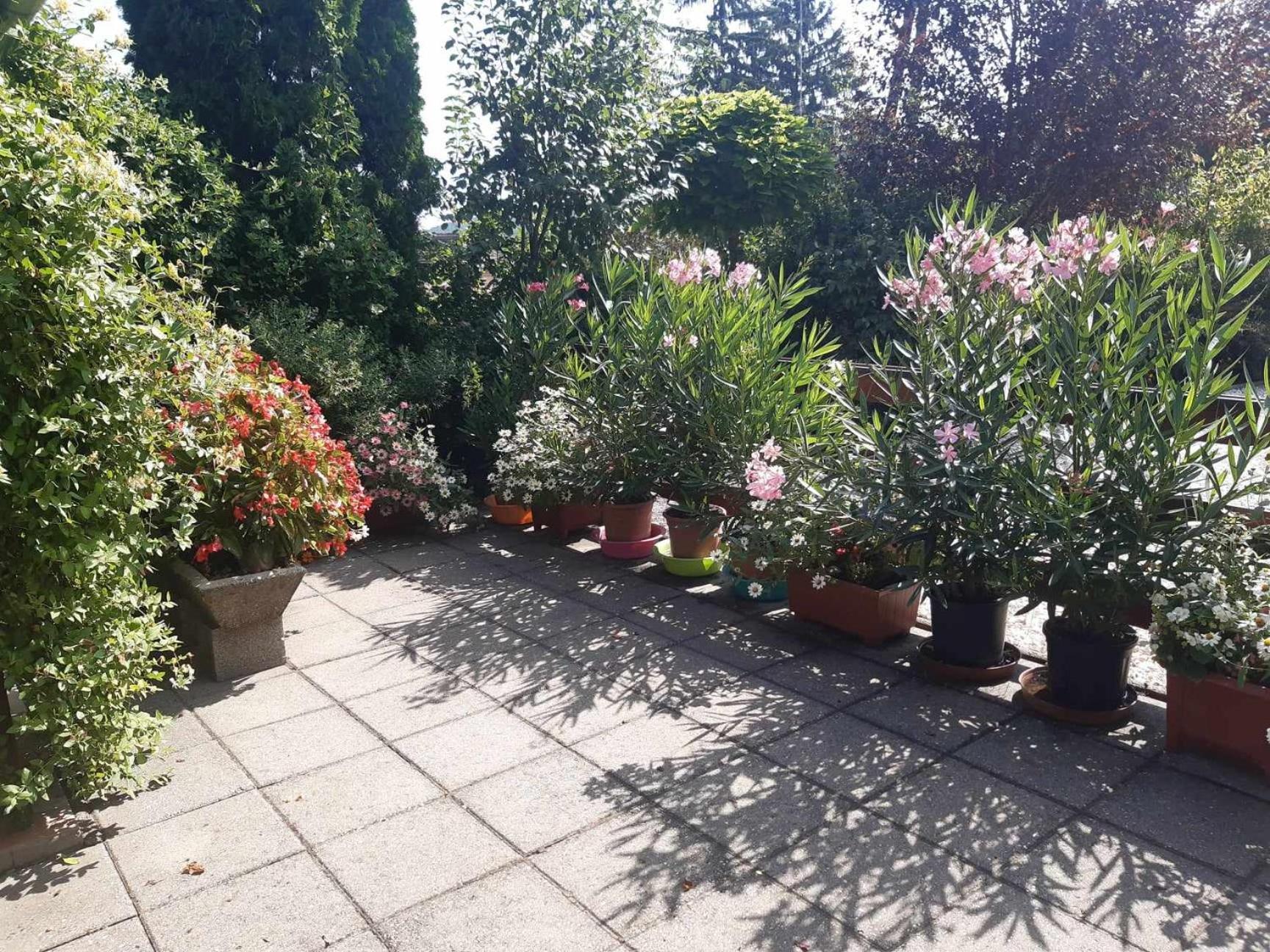 Gyoengyvirag Apartment Romhány 外观 照片