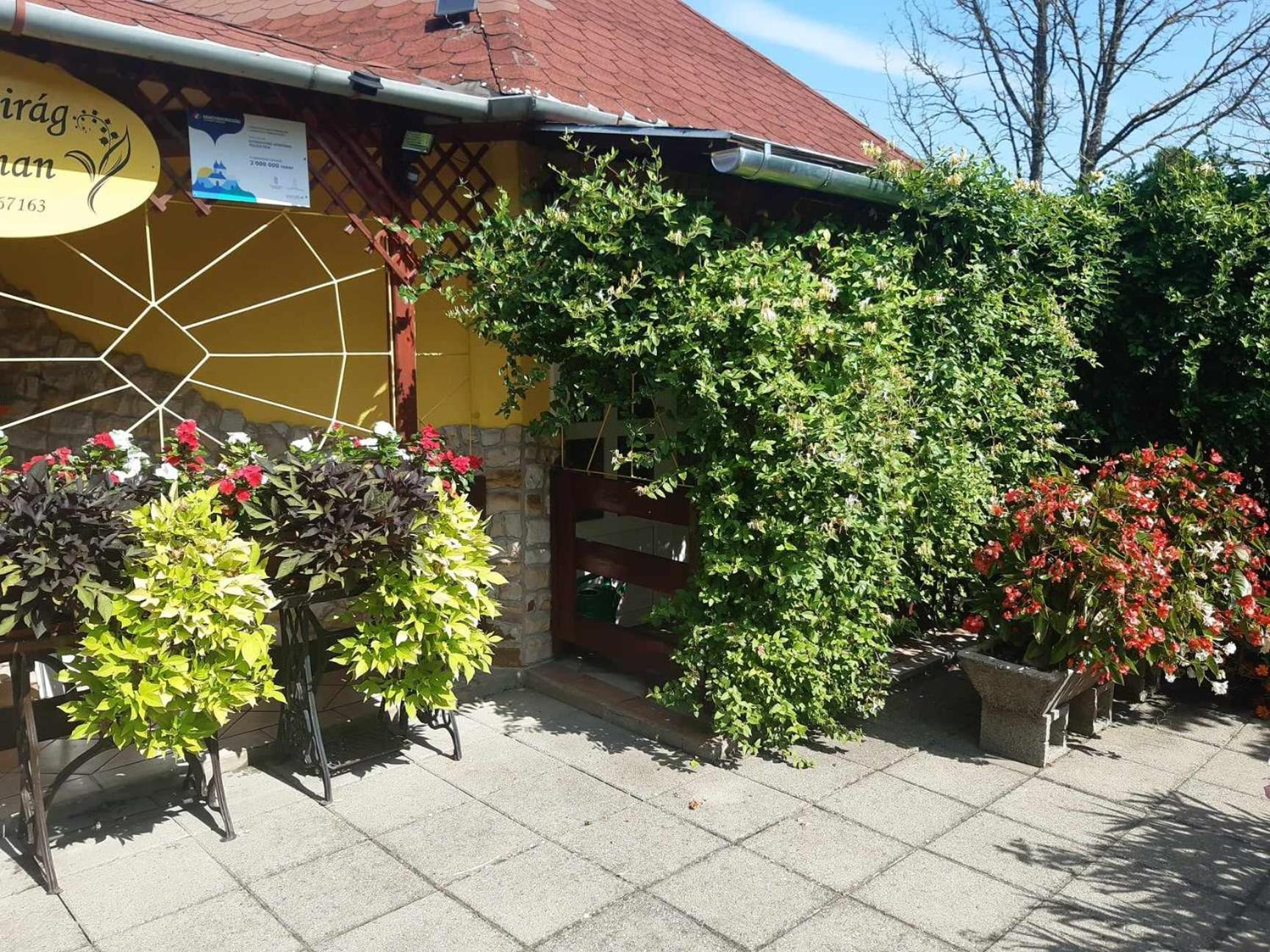 Gyoengyvirag Apartment Romhány 外观 照片